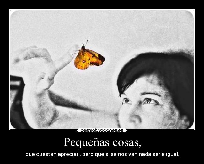 Pequeñas cosas, -
