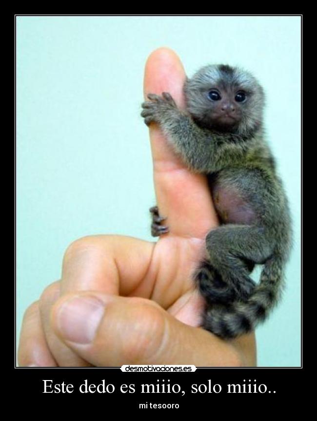 Este dedo es miiio, solo miiio.. -