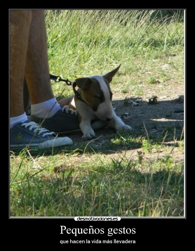 Pequeños gestos - 