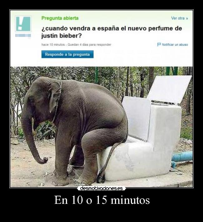 En 10 o 15 minutos -