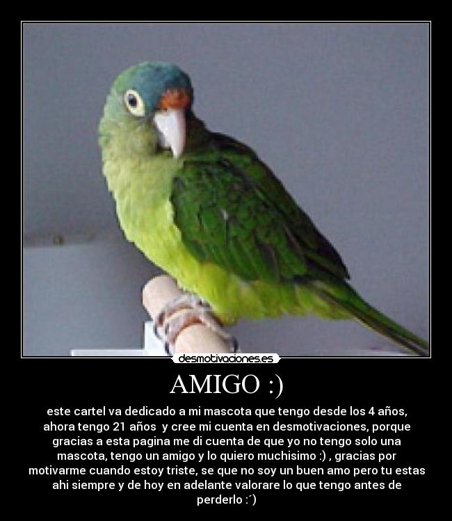 AMIGO :) - este cartel va dedicado a mi mascota que tengo desde los 4 años,
ahora tengo 21 años y cree mi cuenta en desmotivaciones, porque
gracias a esta pagina me di cuenta de que yo no tengo solo una
mascota, tengo un amigo y lo quiero muchisimo :) , gracias por
motivarme cuando estoy triste, se que no soy un buen amo pero tu estas
ahi siempre y de hoy en adelante valorare lo que tengo antes de
perderlo :´)
