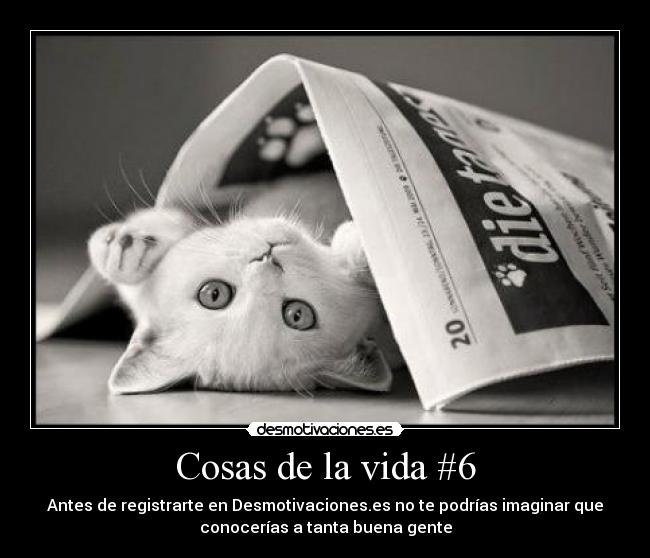 carteles vida vota positivo vago comenta todo que quieras desmotivaciones