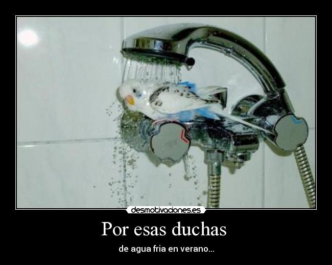 carteles wwwdesmotivacioneses desmotivaciones