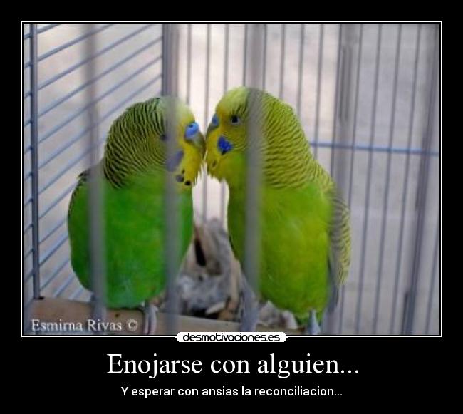Enojarse con alguien... - Y esperar con ansias la reconciliacion...