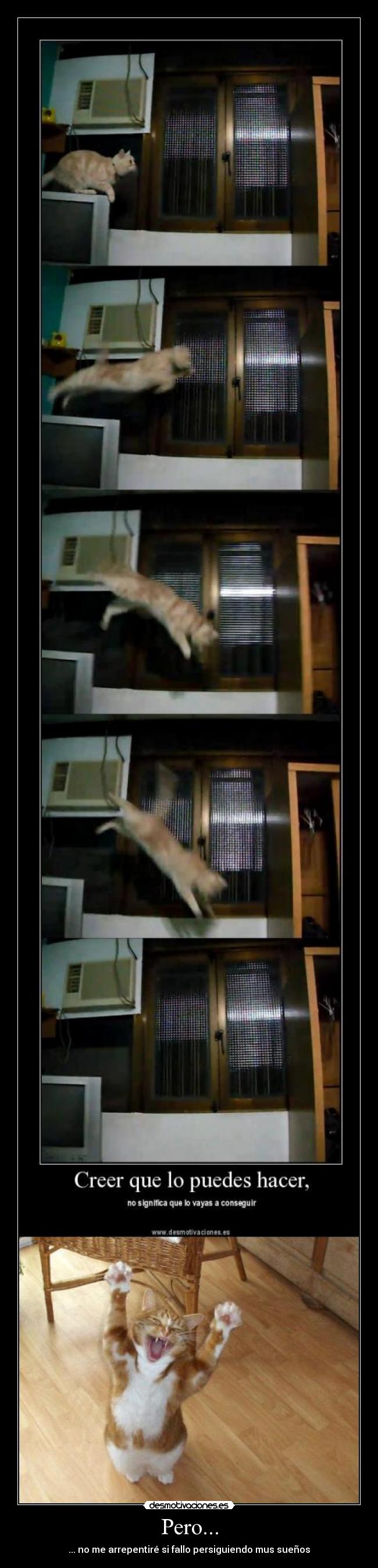 Pero... - ... no me arrepentiré si fallo persiguiendo mus sueños