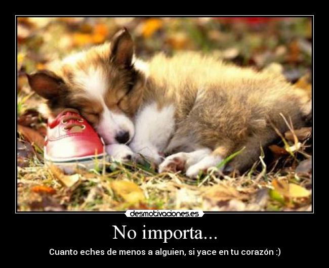 No importa... - Cuanto eches de menos a alguien, si yace en tu corazón :)