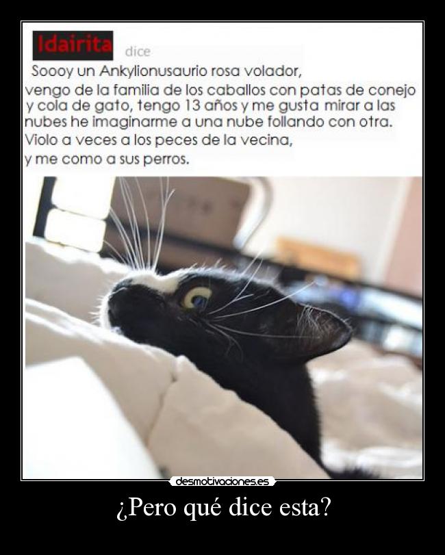 ¿Pero qué dice esta? - 