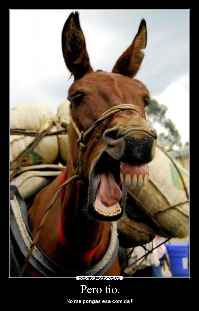 Pero tio. - 