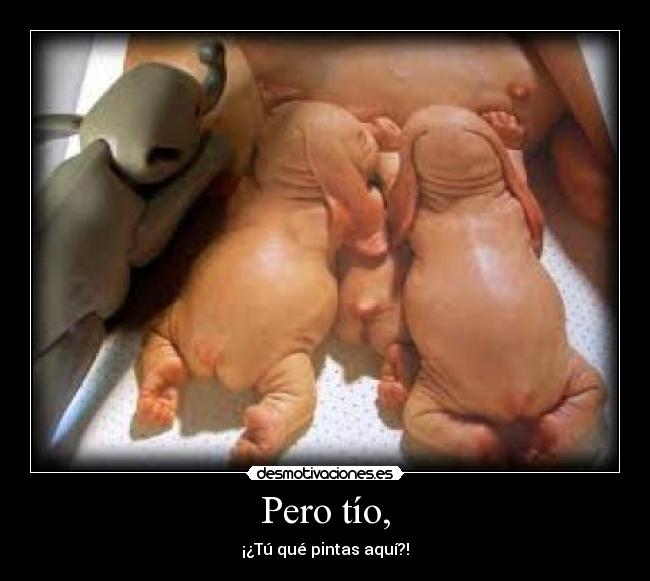 Pero tío, - ¡¿Tú qué pintas aquí?!