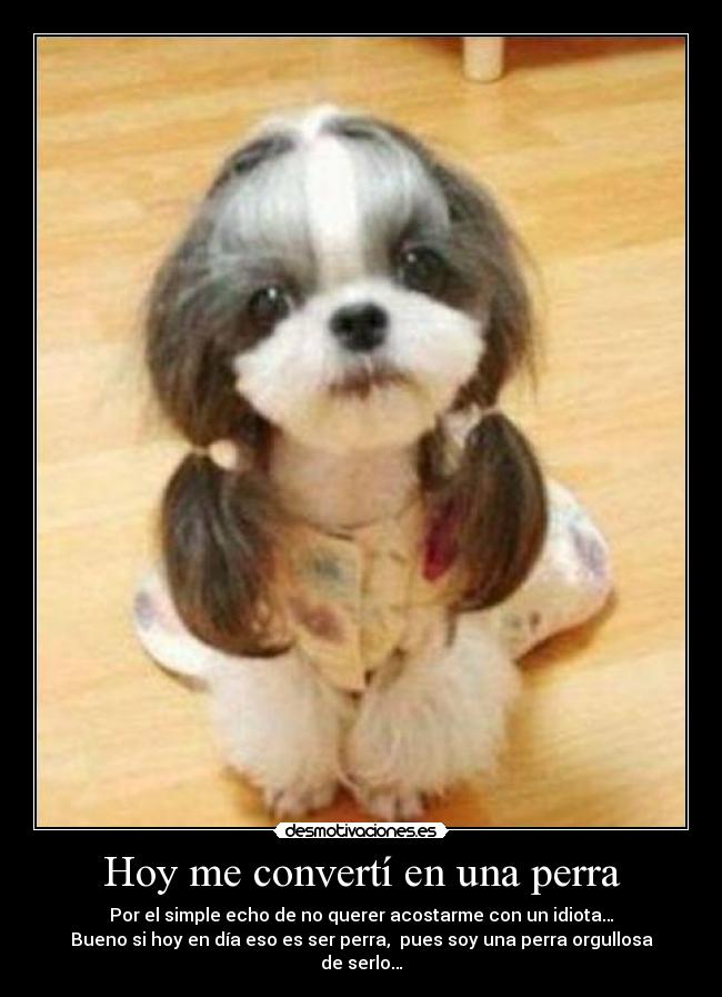 Hoy me convertí en una perra - 