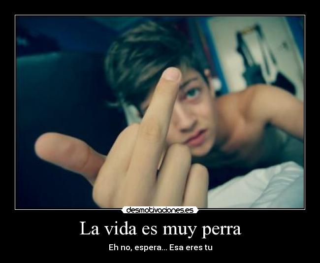 La vida es muy perra -