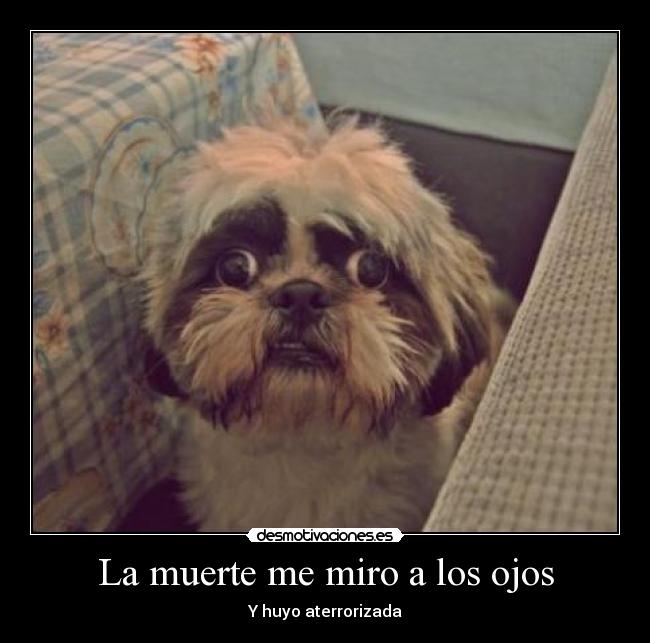 La muerte me miro a los ojos - Y huyo aterrorizada