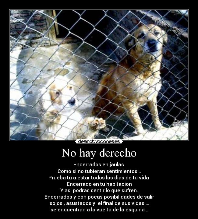 No hay derecho - 