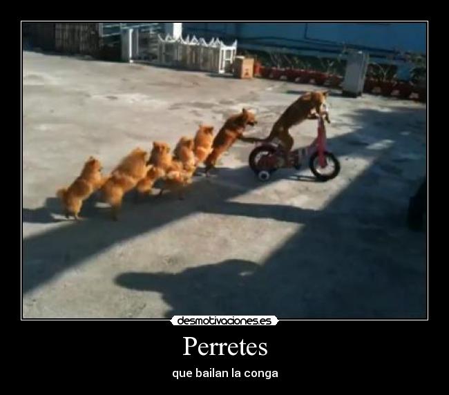 Perretes - 