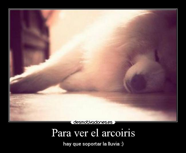 Para ver el arcoiris -