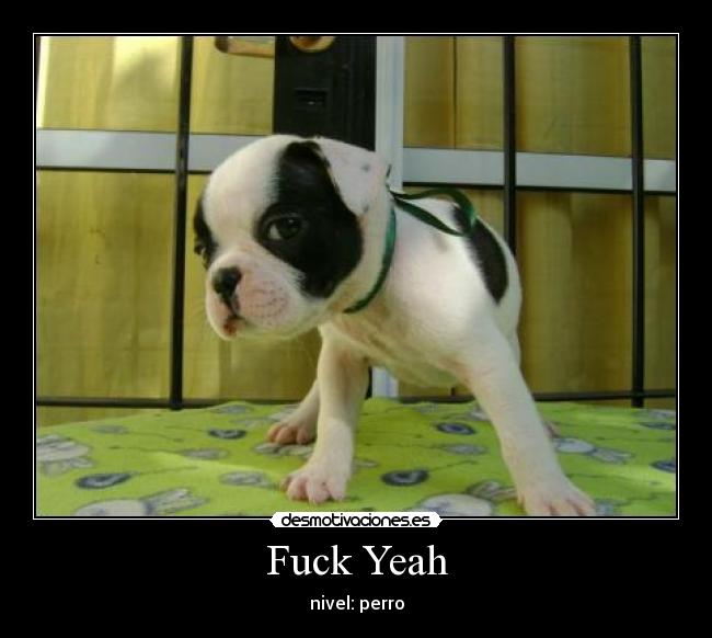 Fuck Yeah - 