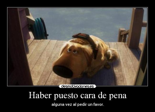 Haber puesto cara de pena -