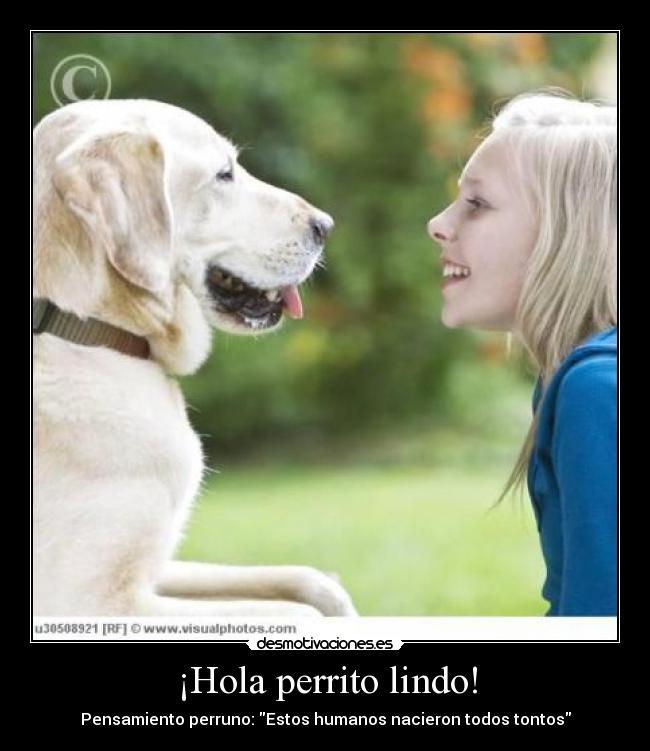 ¡Hola perrito lindo! - Pensamiento perruno: Estos humanos nacieron todos tontos