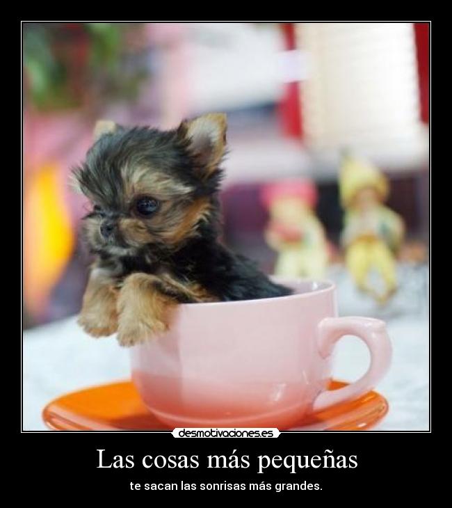 Las cosas más pequeñas - te sacan las sonrisas más grandes.