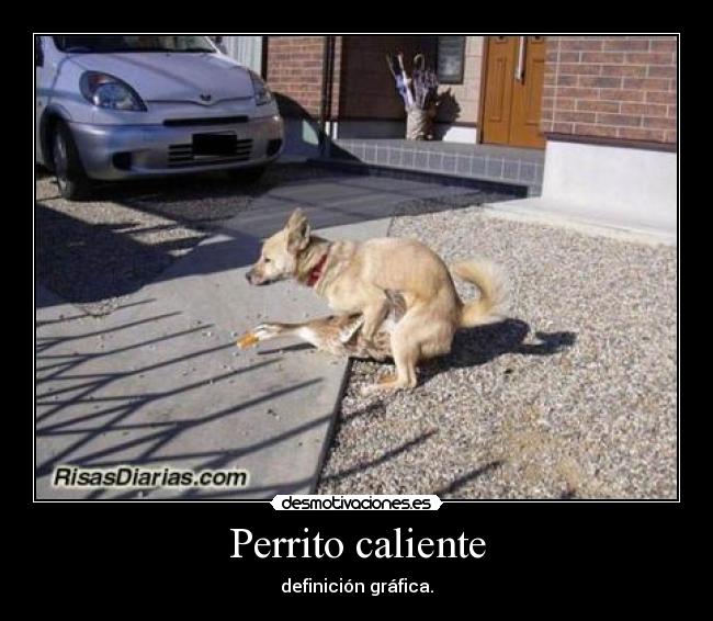 Perrito caliente - definición gráfica.