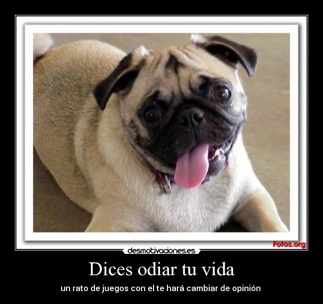 Dices odiar tu vida - 