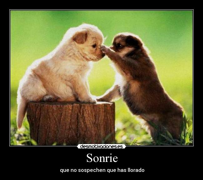 Sonrie -  que no sospechen que has llorado