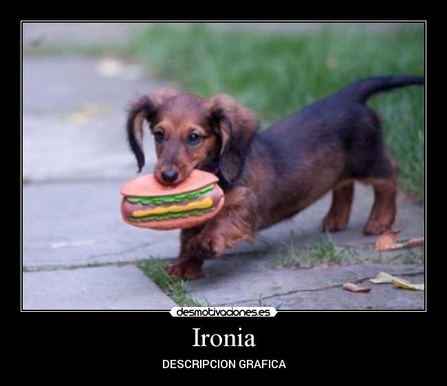 Ironia -