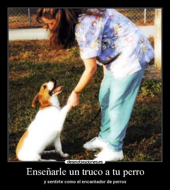 carteles viral alwayscool desmotivaciones