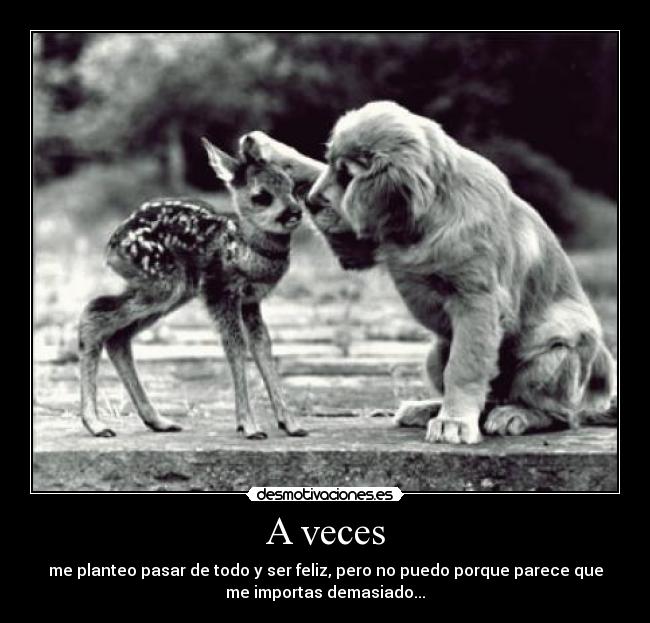 A veces - 