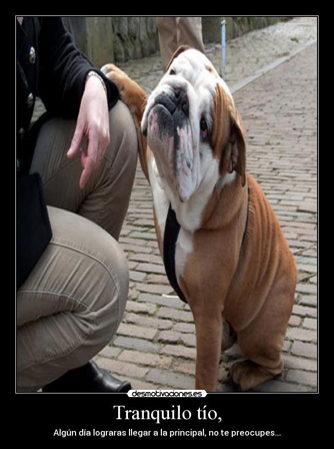 Tranquilo tío, - Algún día lograras llegar a la principal, no te preocupes...