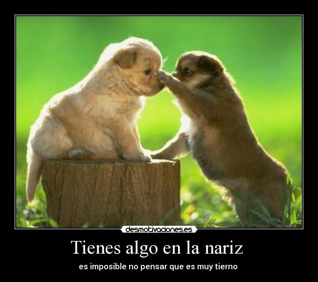 Tienes algo en la nariz  - 