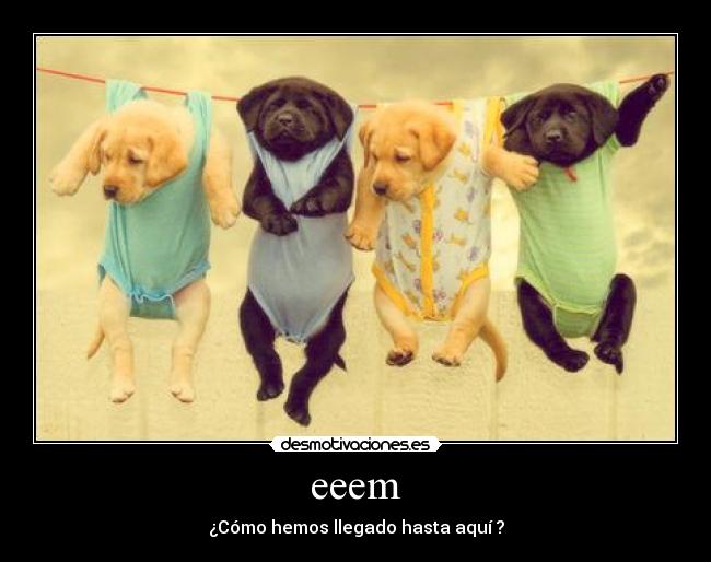eeem -