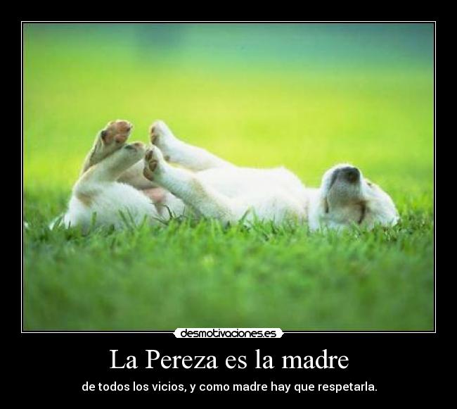 La Pereza es la madre - de todos los vicios, y como madre hay que respetarla.