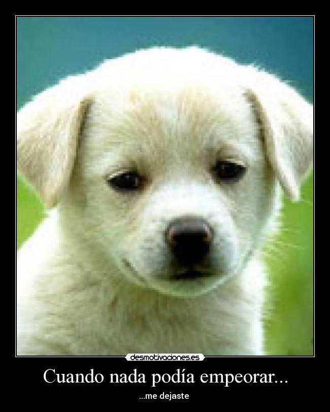 Cuando nada podía empeorar... - 