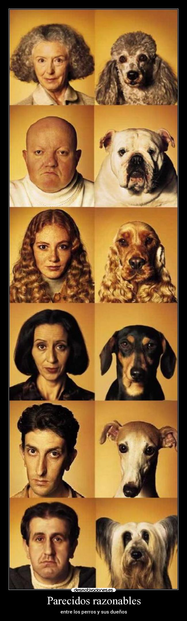 Parecidos razonables - 