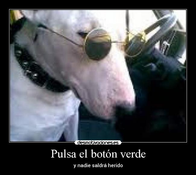 Pulsa el botón verde -