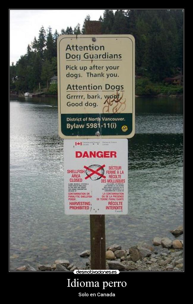 Idioma perro -