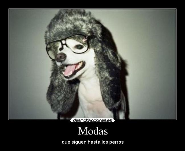 Modas - que siguen hasta los perros