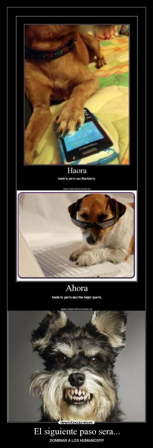 El siguiente paso sera... - 