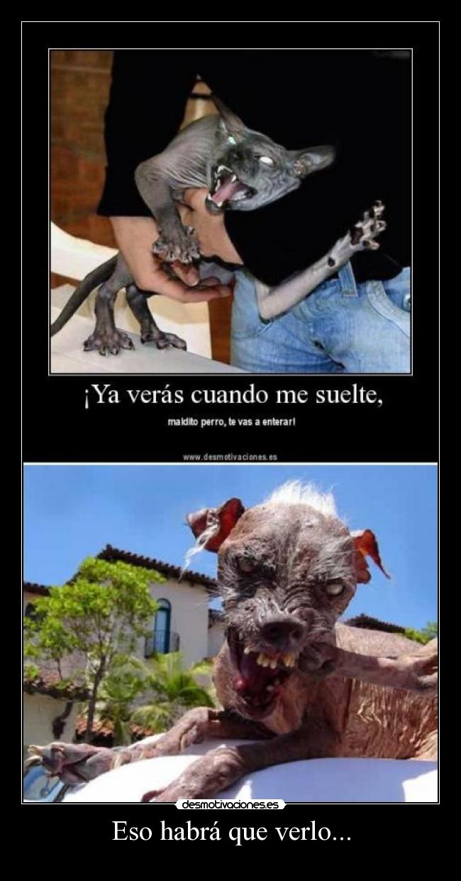 Eso habrá que verlo... -