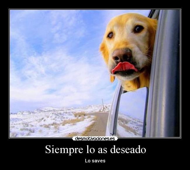 carteles realidad desmotivaciones