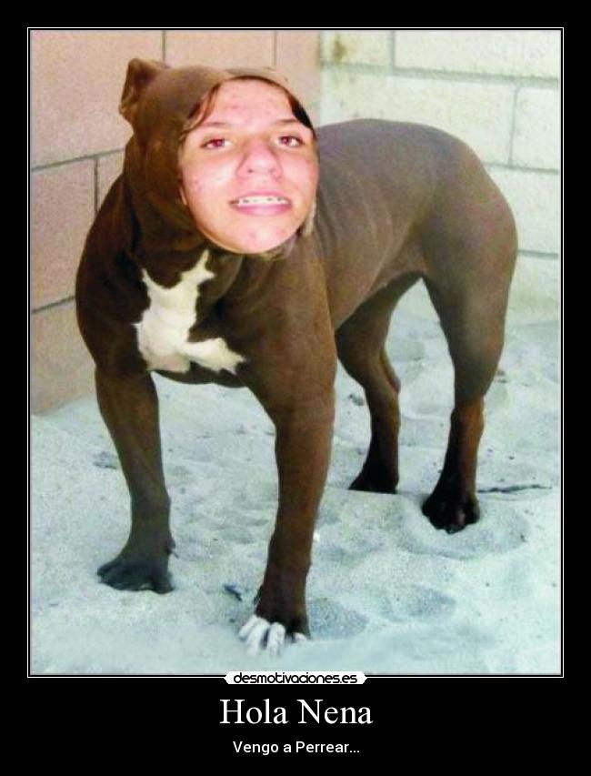 Hola Nena - Vengo a Perrear...