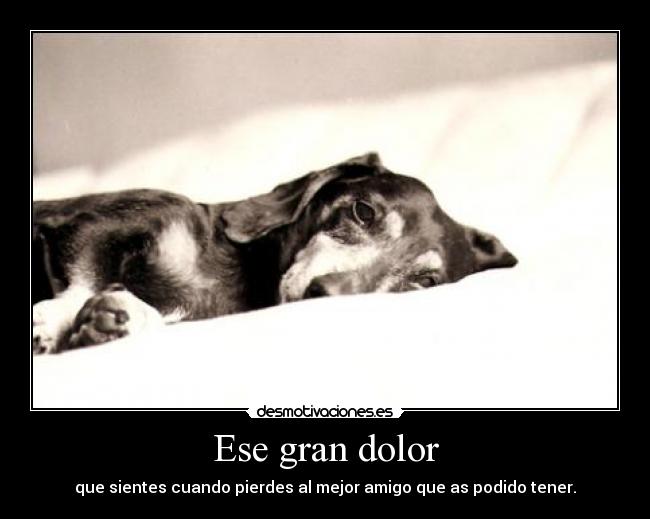 Ese gran dolor - 