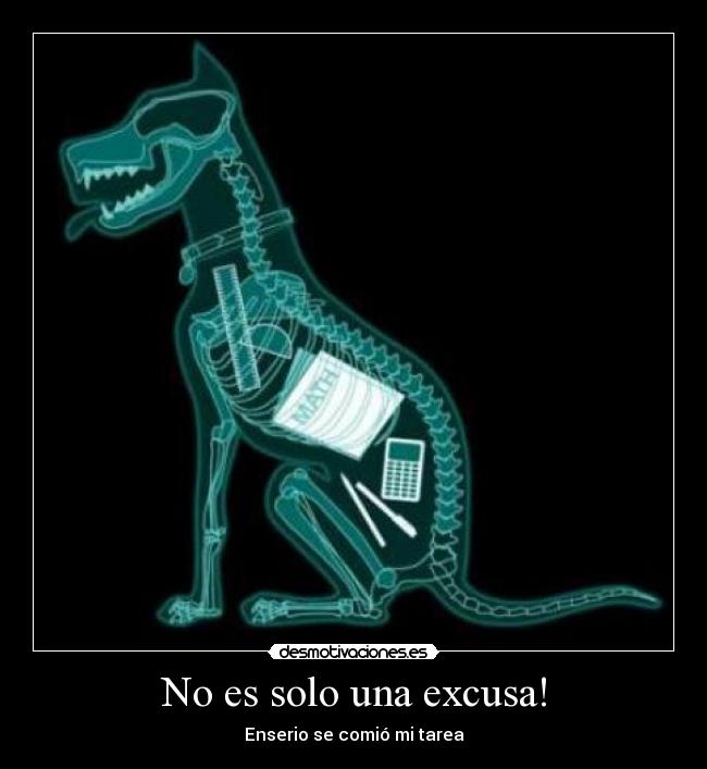 No es solo una excusa! - 