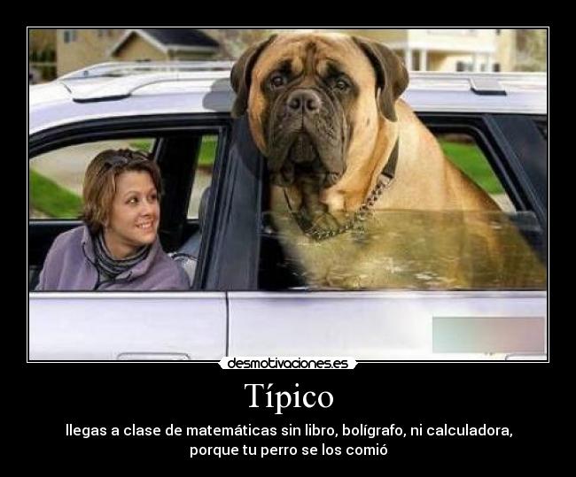 Típico - llegas a clase de matemáticas sin libro, bolígrafo, ni calculadora,
porque tu perro se los comió