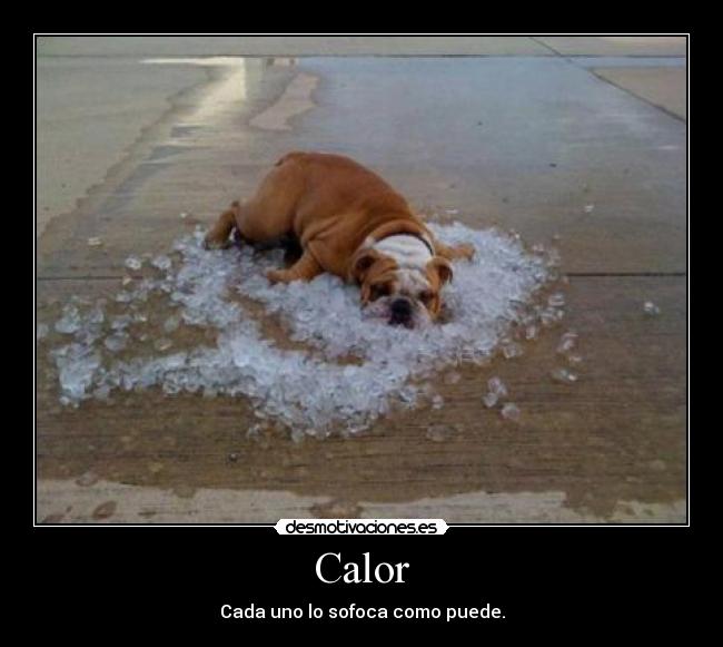 Calor - Cada uno lo sofoca como puede.