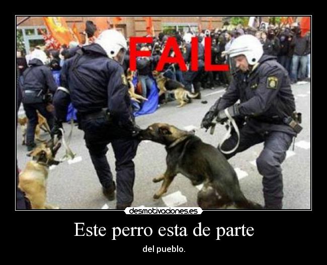 Este perro esta de parte -