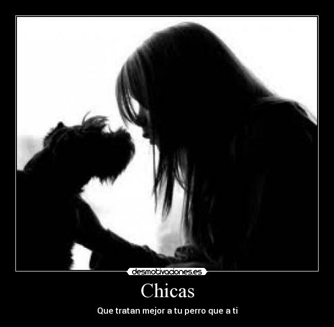 Chicas - Que tratan mejor a tu perro que a ti