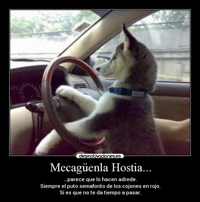 Mecagüenla Hostia... - ...parece que lo hacen adrede.
Siempre el puto semaforito de los cojones en rojo.
Si es que no te da tiempo a pasar.