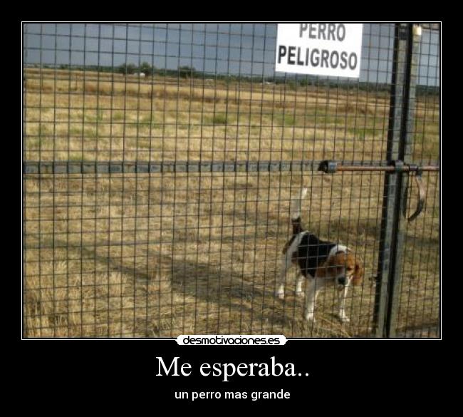 Me esperaba.. - 